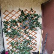Ouverture mur en pierre avant travaux